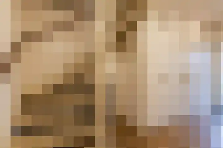 De Bleek 7 Montfoort thumbnail 20