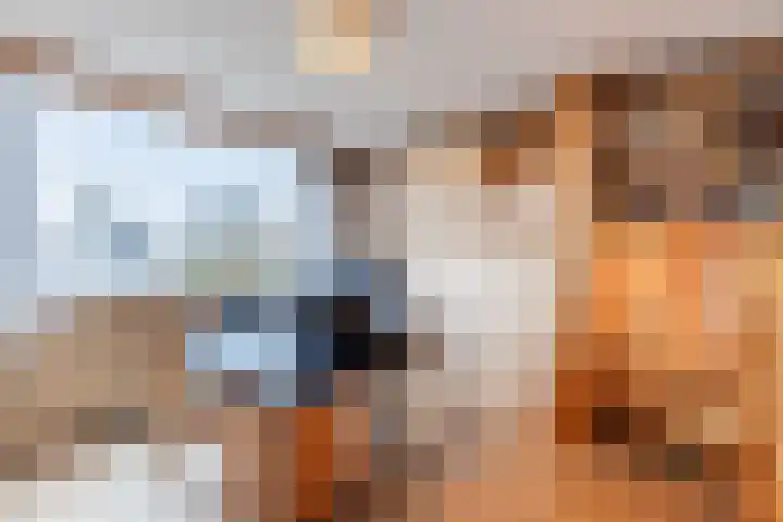 De Bleek 7 Montfoort thumbnail 24