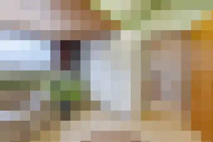 De Bleek 7 Montfoort thumbnail 31