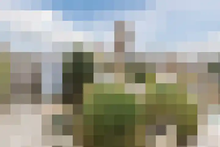 De Bleek 7 Montfoort thumbnail 34