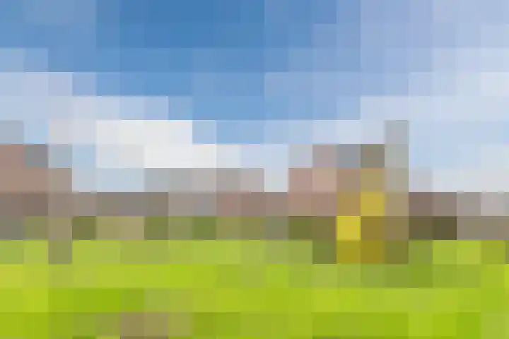 De Bleek 7 Montfoort thumbnail 38