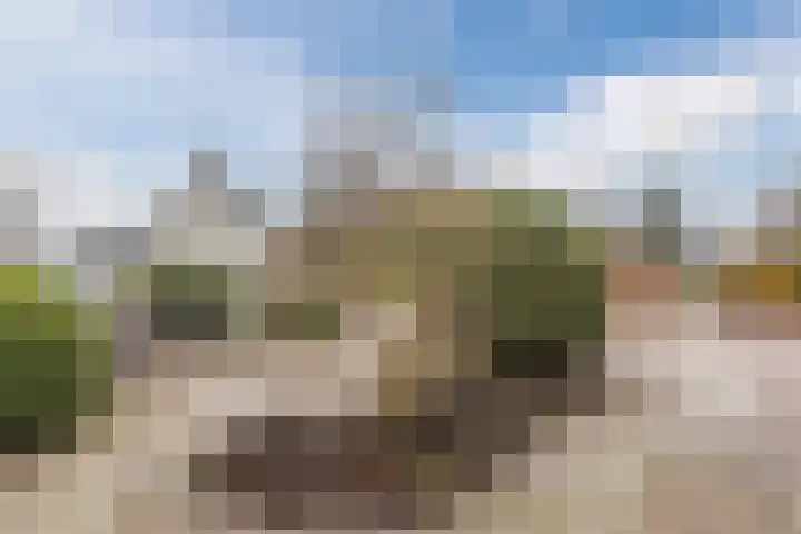 De Bleek 7 Montfoort thumbnail 4