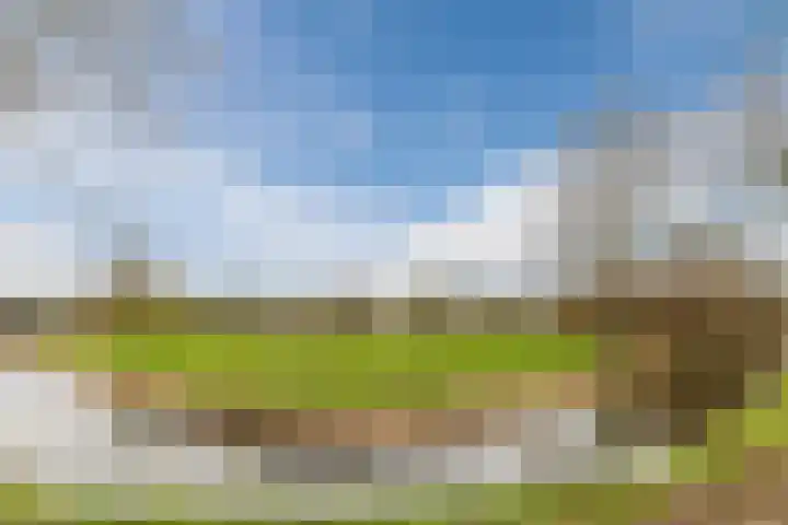 De Bleek 7 Montfoort thumbnail 41