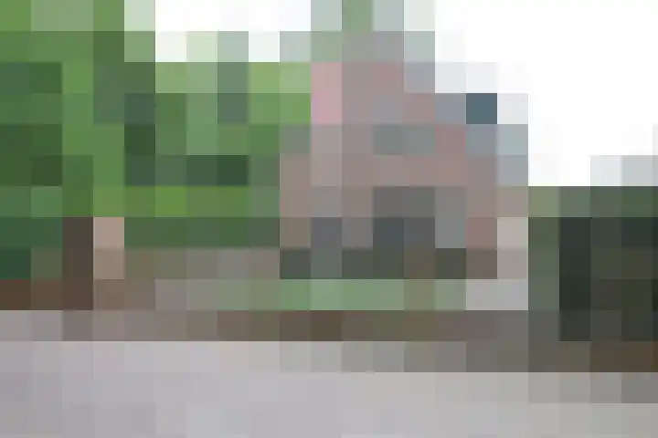 De Bleek 9 Liempde