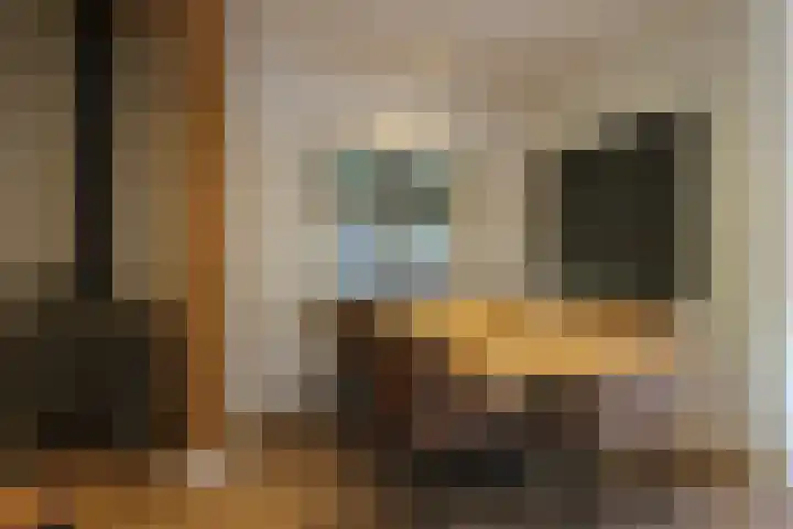 De Bleek 9 Liempde thumbnail 10