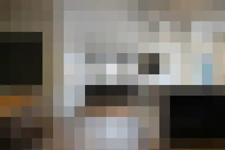 De Bleek 9 Liempde thumbnail 11