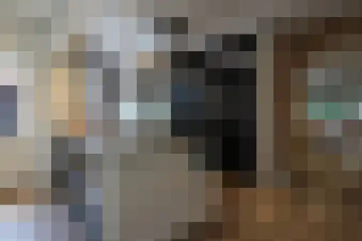 De Bleek 9 Liempde thumbnail 12