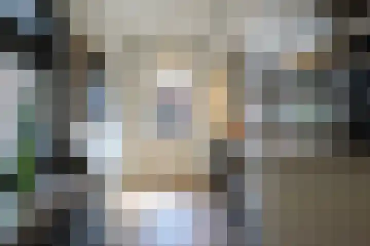 De Bleek 9 Liempde thumbnail 15