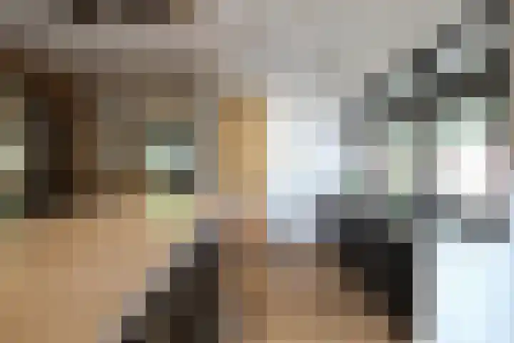 De Bleek 9 Liempde thumbnail 16