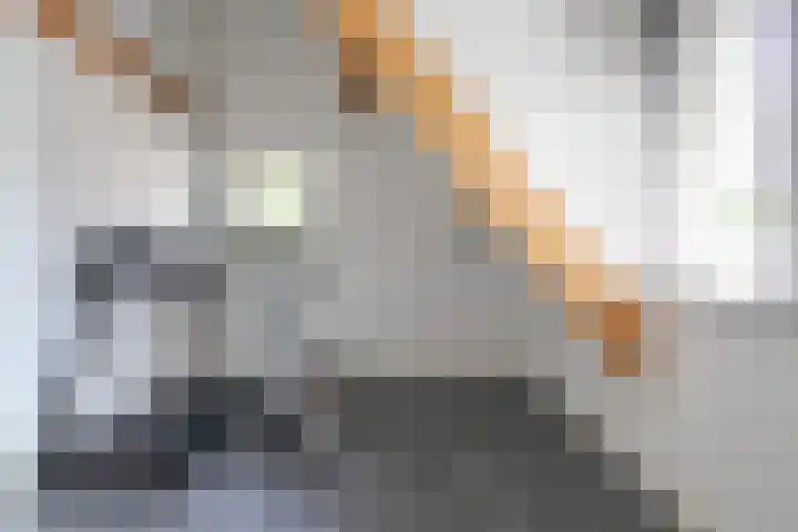 De Bleek 9 Liempde thumbnail 22