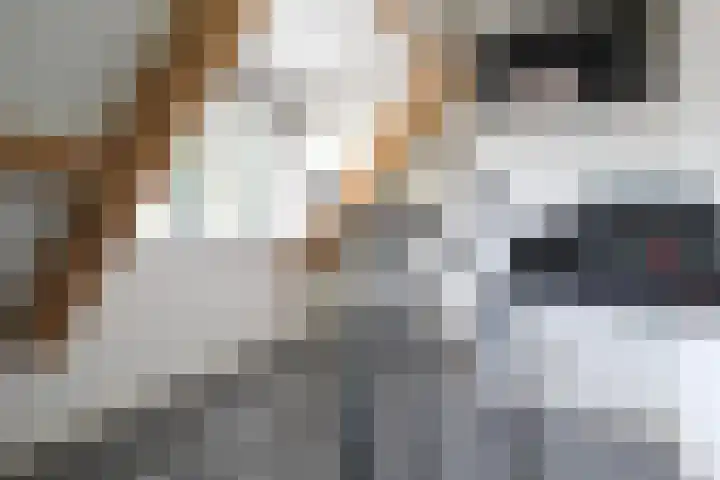 De Bleek 9 Liempde thumbnail 23