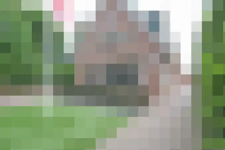 De Bleek 9 Liempde thumbnail 38