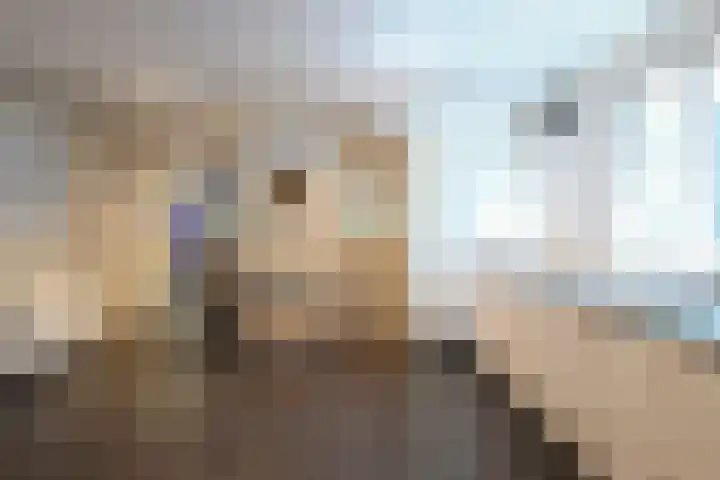 De Bleek 9 Liempde thumbnail 45