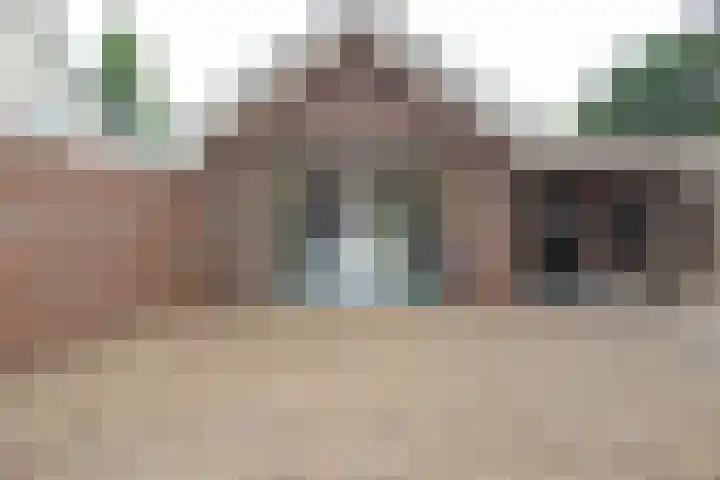 De Bleek 9 Liempde thumbnail 53