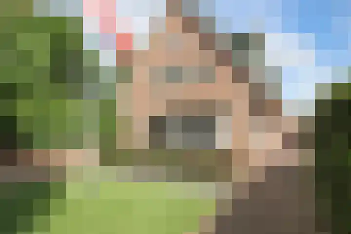 De Bleek 9 Liempde thumbnail 57
