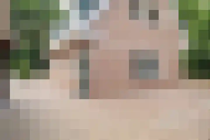 De Bleek 9 Liempde thumbnail 58