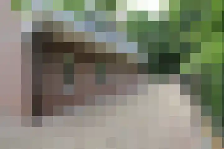 De Bleek 9 Liempde thumbnail 59
