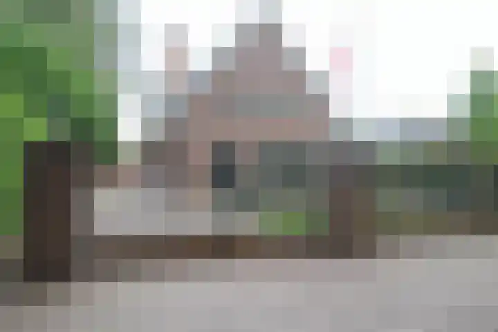 De Bleek 9 Liempde thumbnail 64