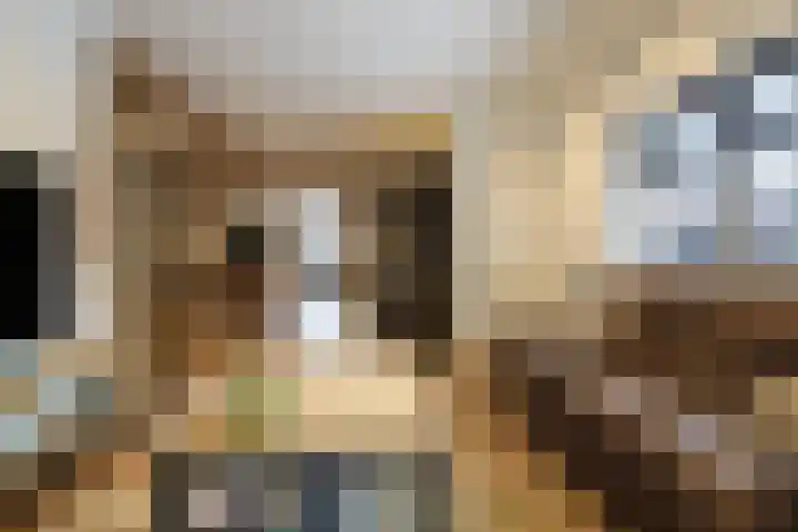 De Bleek 9 Liempde thumbnail 8