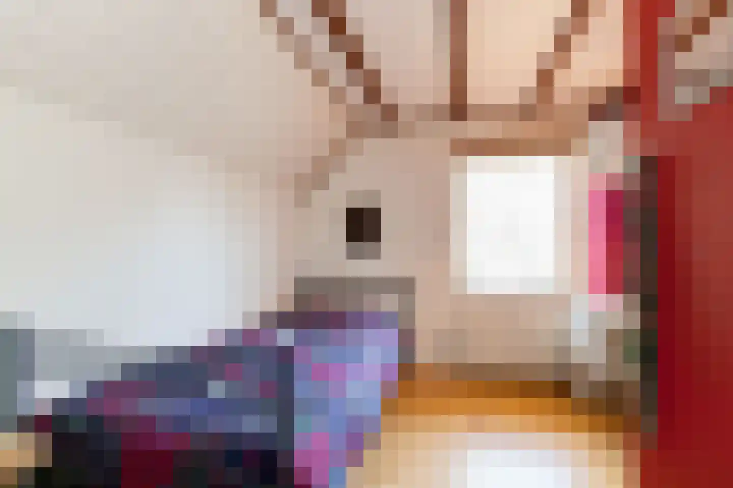 de Bleeke 2 Geesteren thumbnail 17