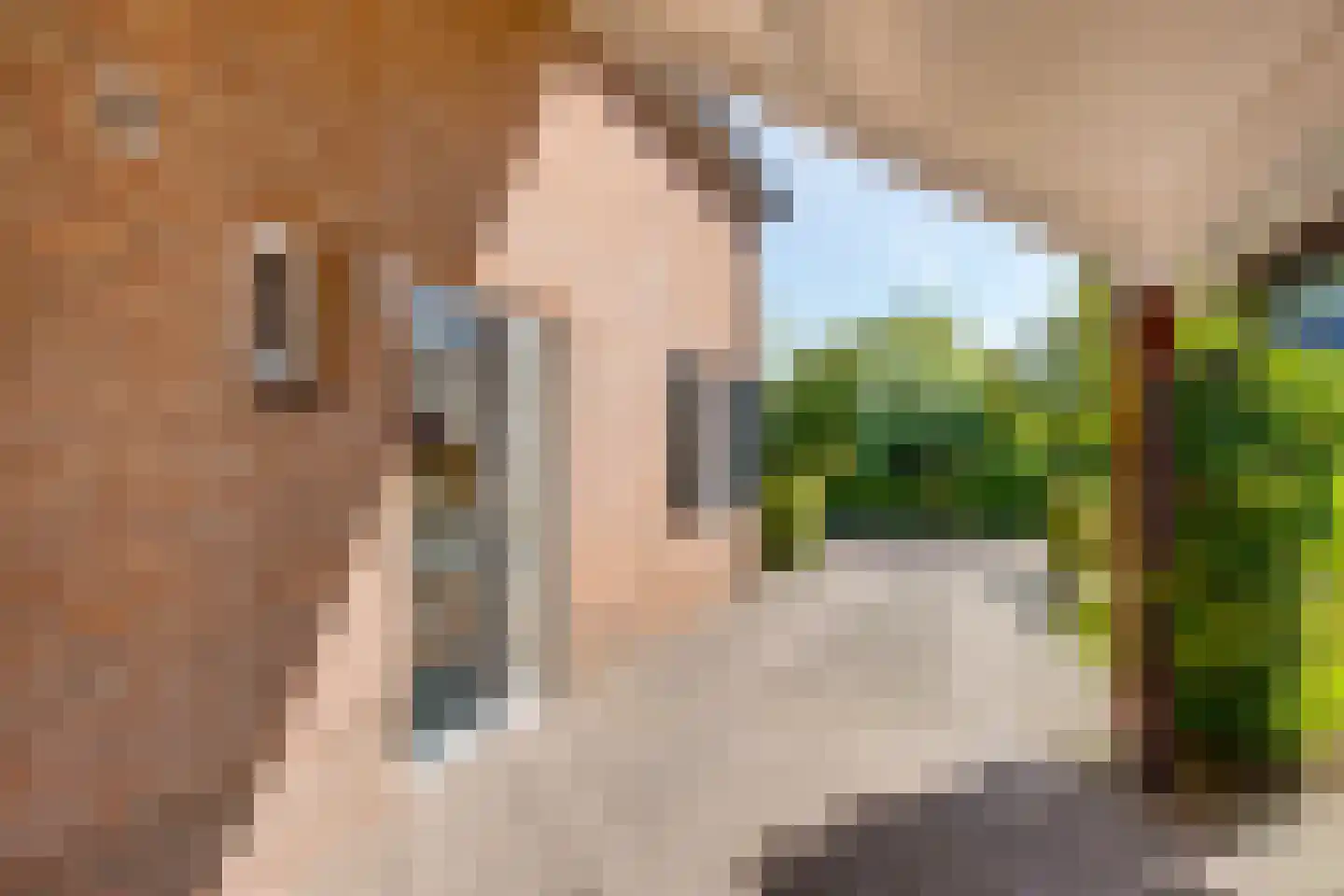 de Bleeke 2 Geesteren thumbnail 20
