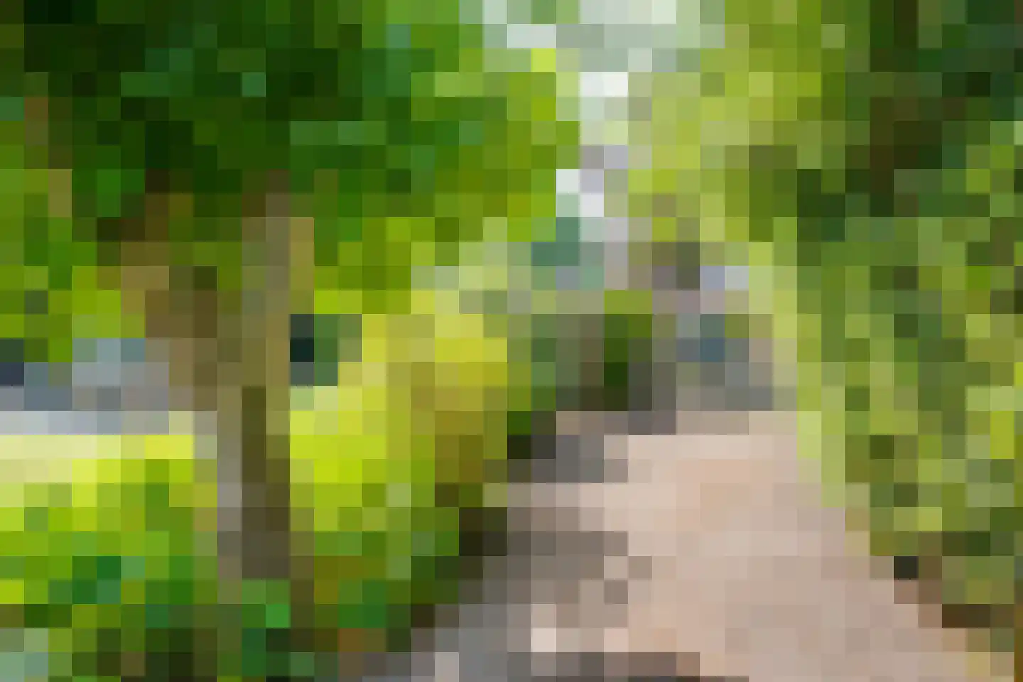 de Bleeke 2 Geesteren thumbnail 28