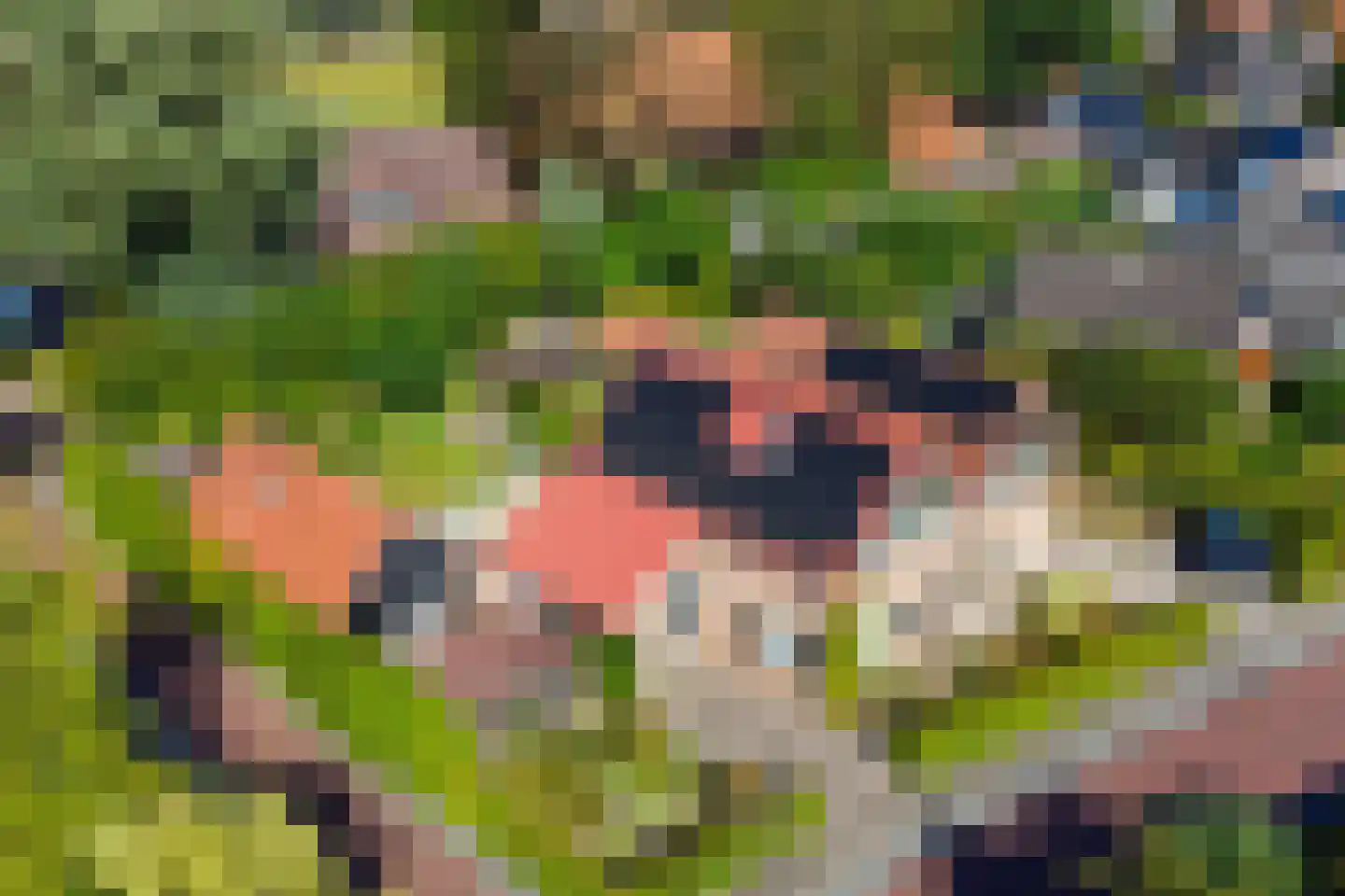 de Bleeke 2 Geesteren thumbnail 32