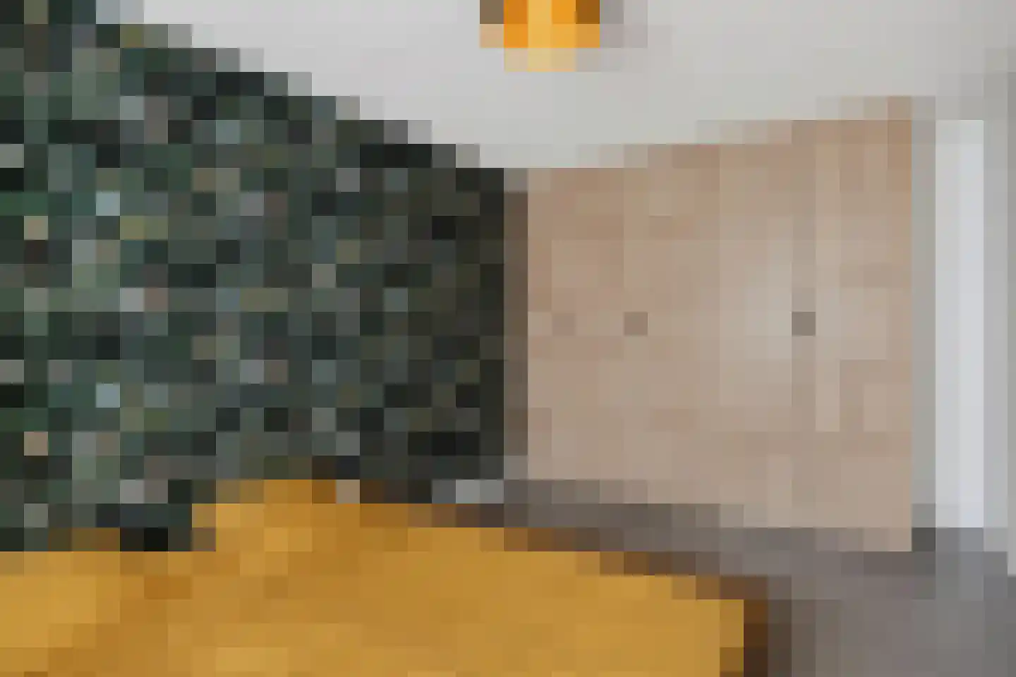 de Bleekvelden 14 Geldrop thumbnail 19
