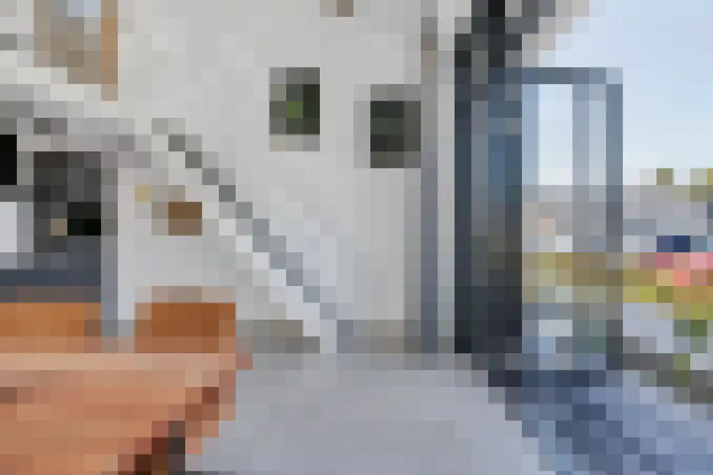 de Bleekvelden 14 Geldrop thumbnail 23