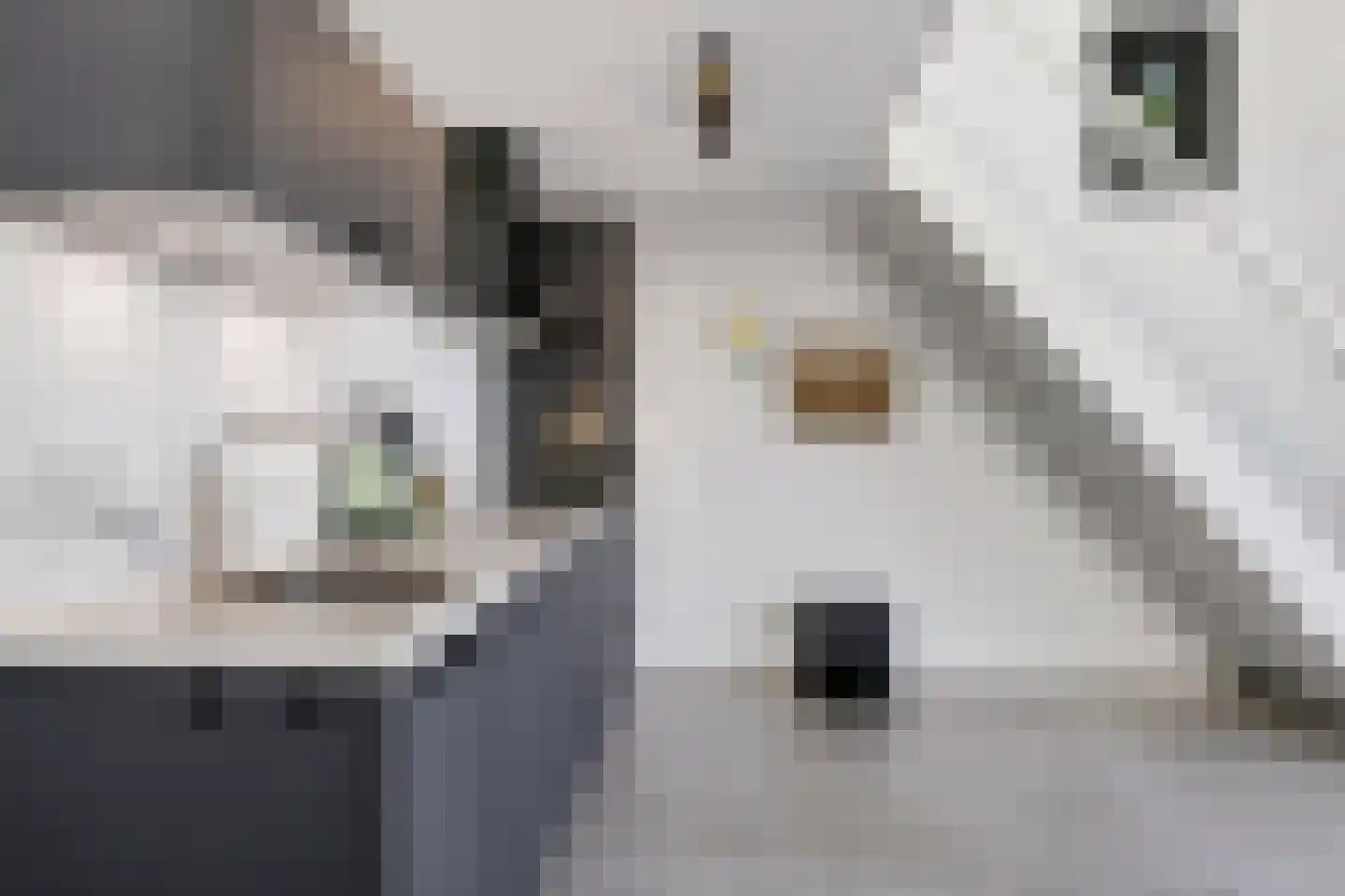 de Bleekvelden 14 Geldrop thumbnail 29