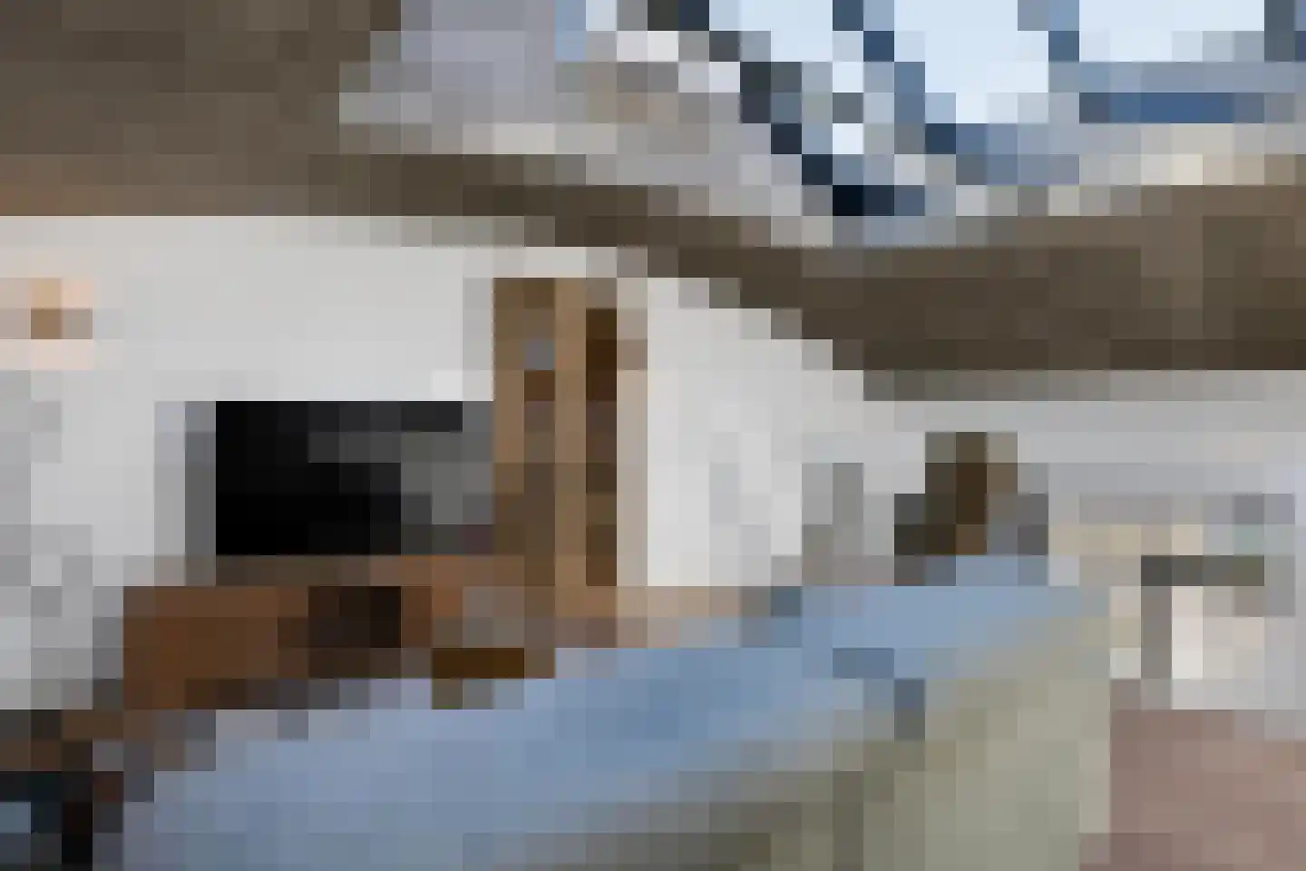 de Bleekvelden 14 Geldrop thumbnail 31