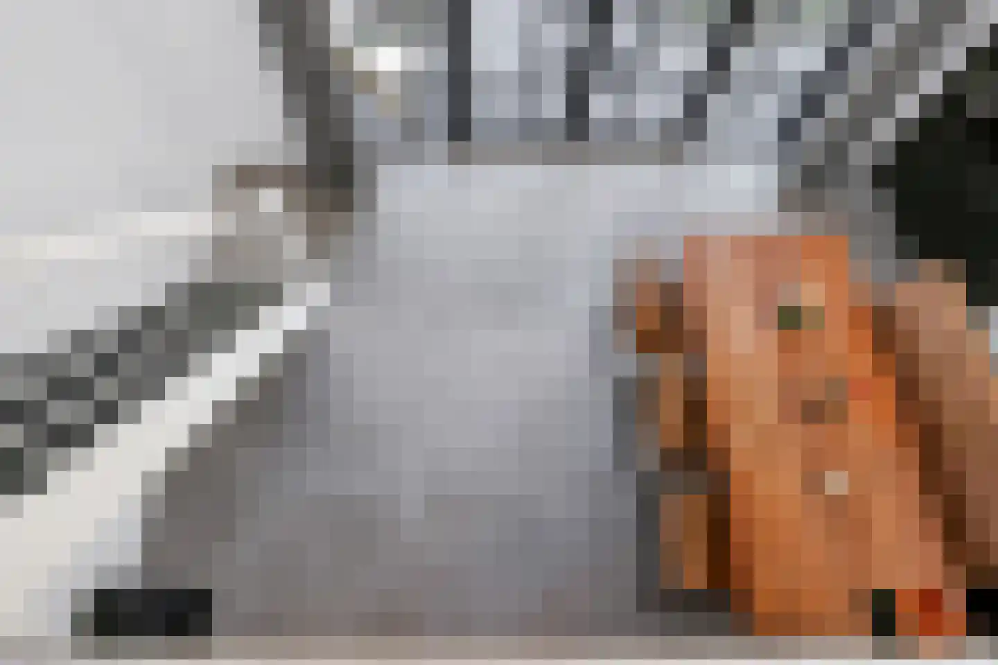 de Bleekvelden 14 Geldrop thumbnail 35