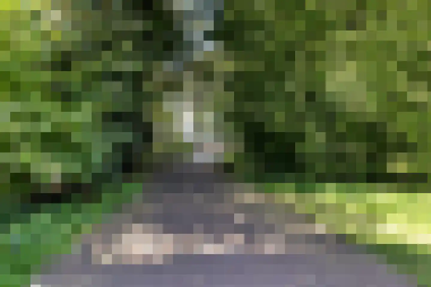 de Bleekvelden 14 Geldrop thumbnail 36