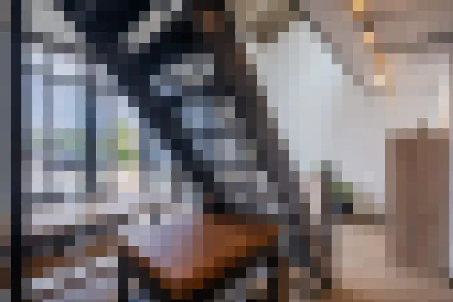 de Bleekvelden 4 Geldrop thumbnail 11