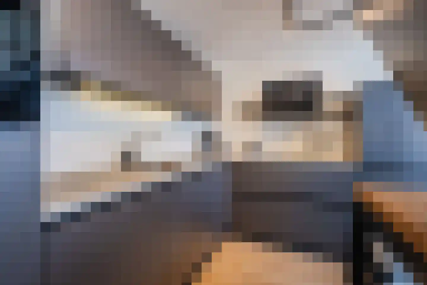 de Bleekvelden 4 Geldrop thumbnail 14