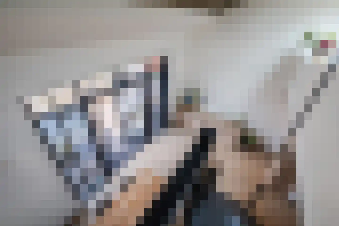 de Bleekvelden 4 Geldrop thumbnail 15