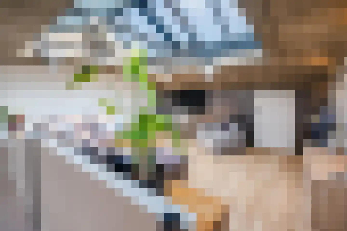 de Bleekvelden 4 Geldrop thumbnail 16