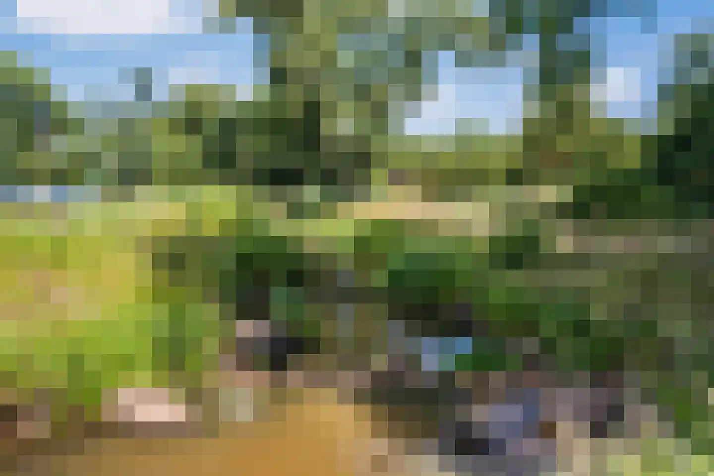de Bleekvelden 4 Geldrop thumbnail 22