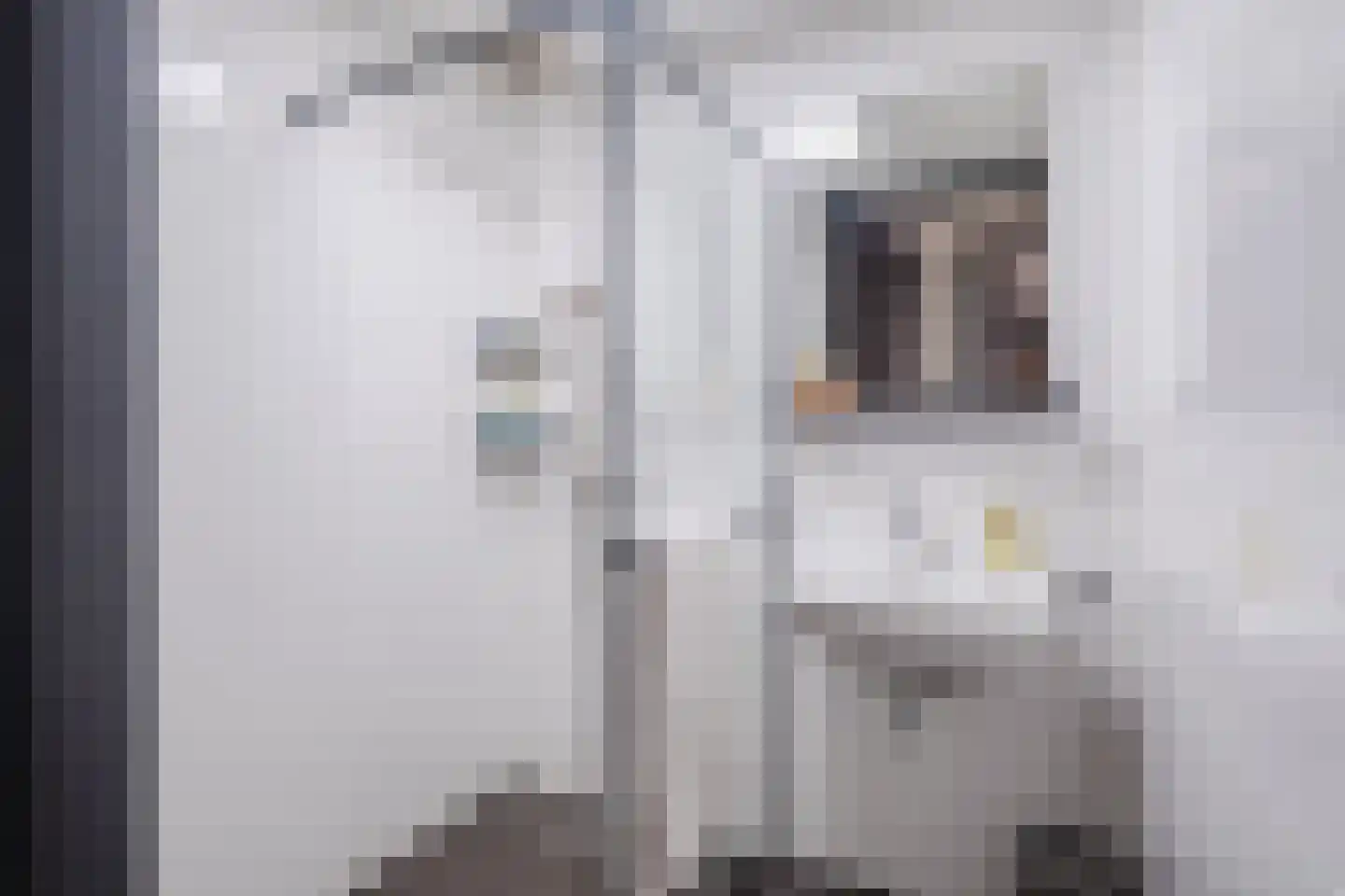 de Bleekvelden 4 Geldrop thumbnail 5