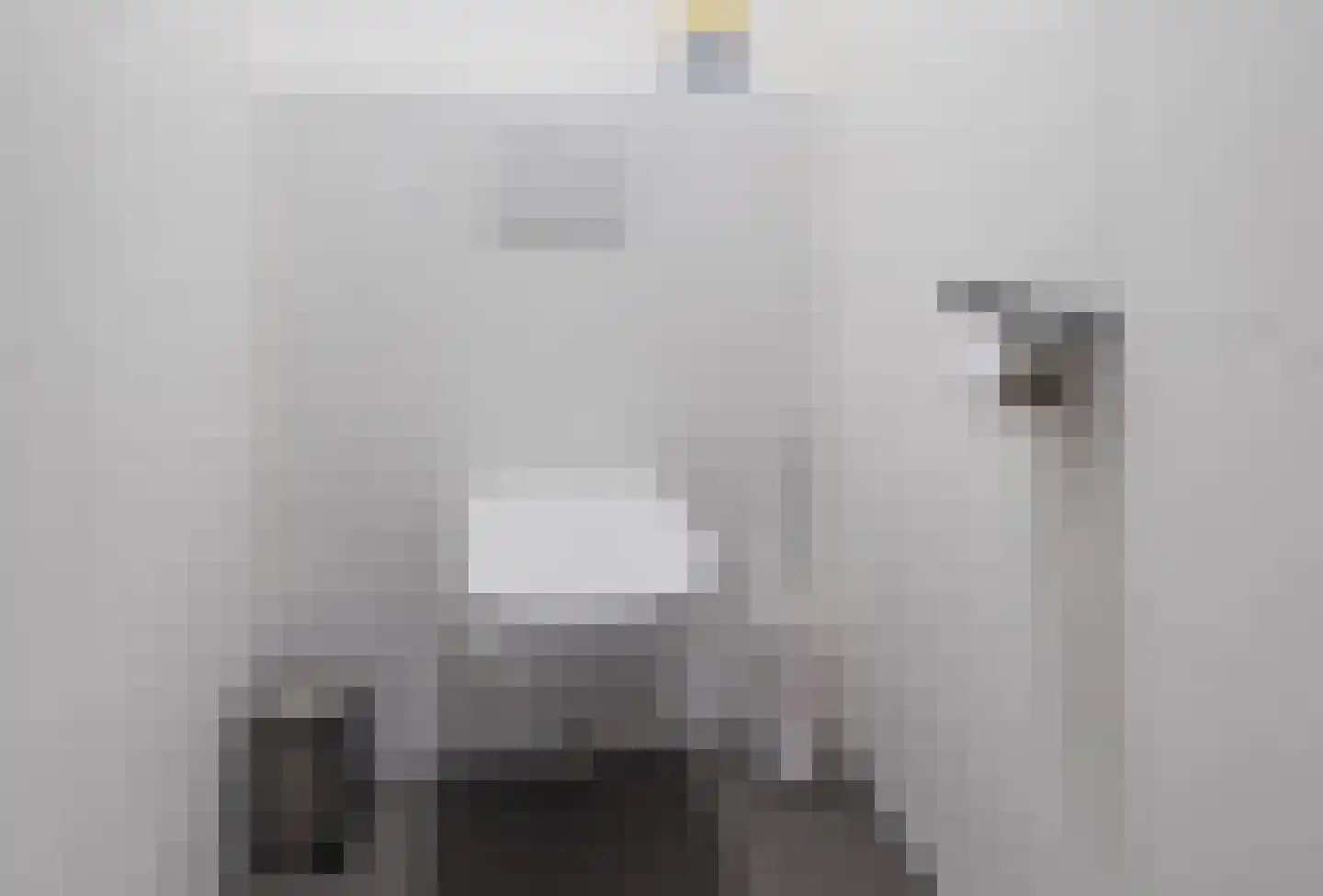 de Bleekvelden 4 Geldrop thumbnail 6