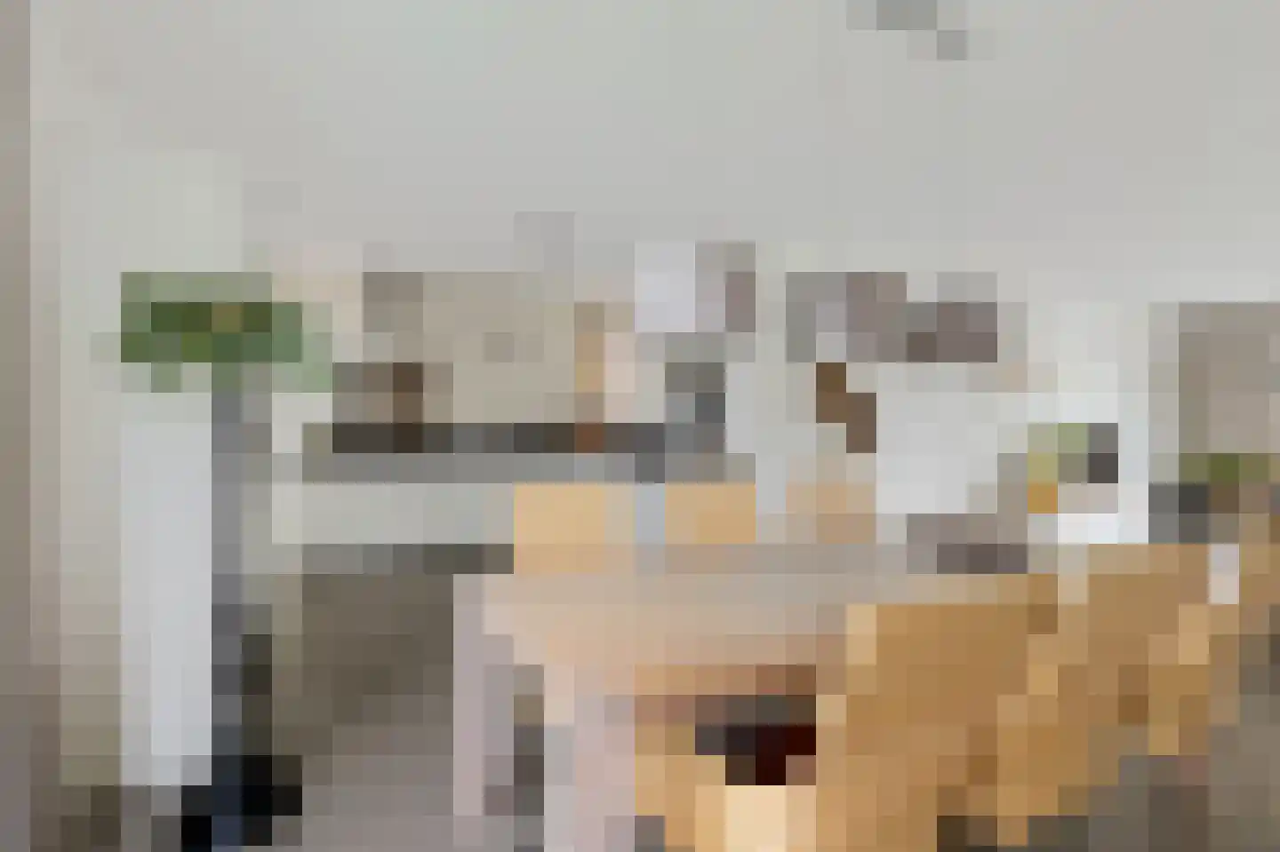 De Blei 2 Grou thumbnail 14