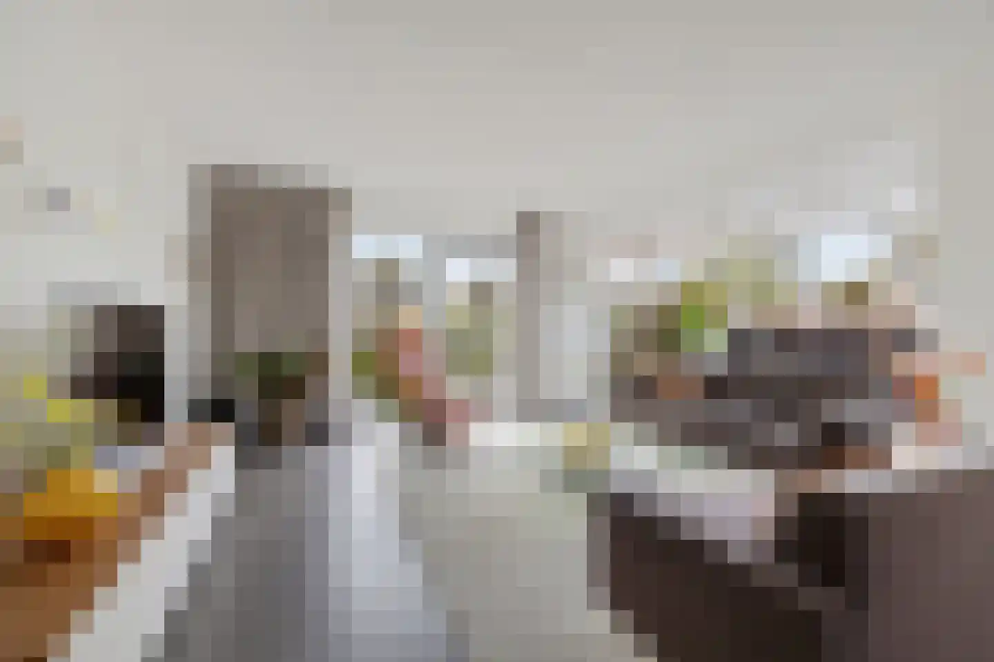 De Blei 2 Grou thumbnail 16