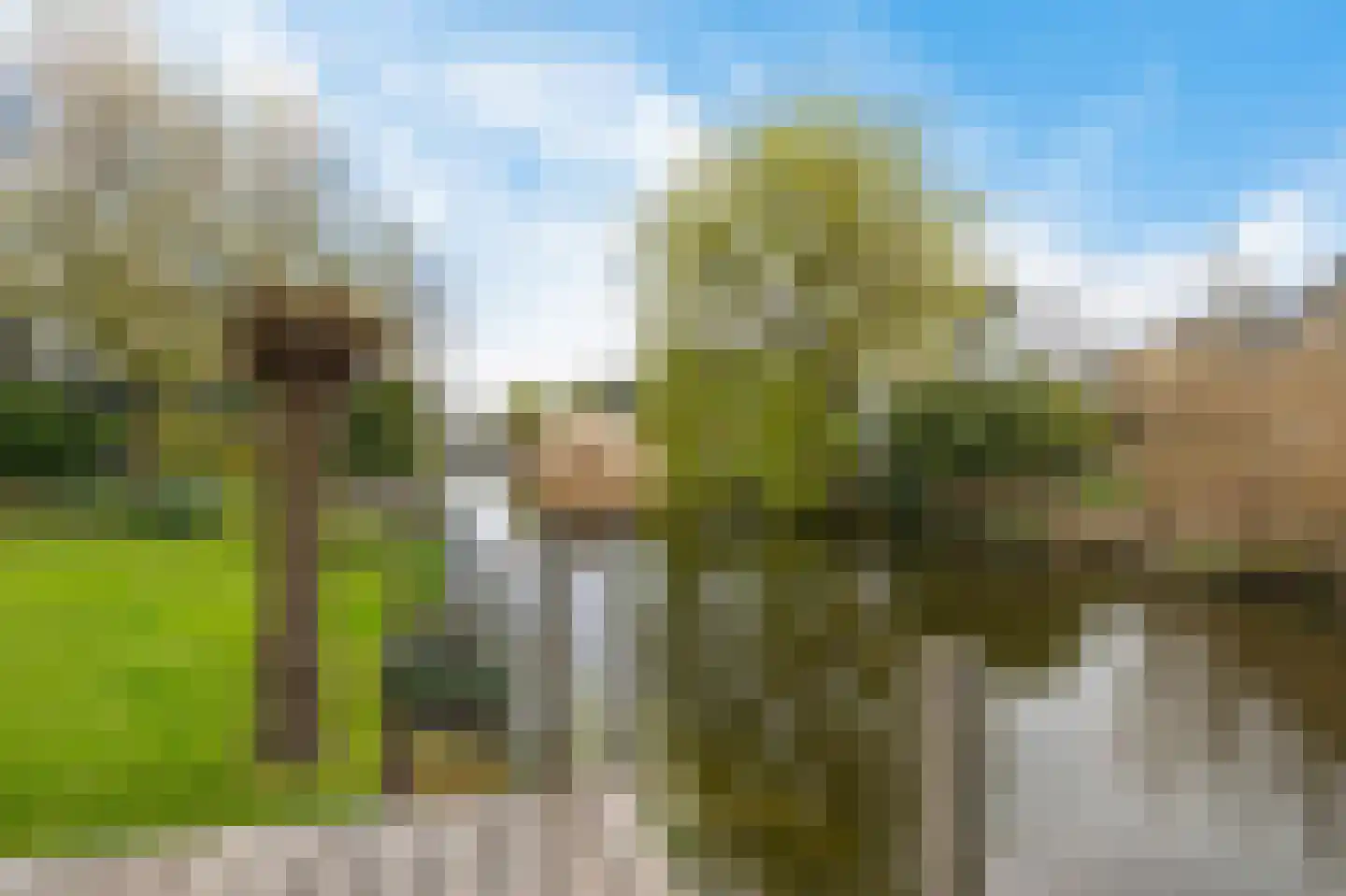 De Blei 2 Grou thumbnail 36