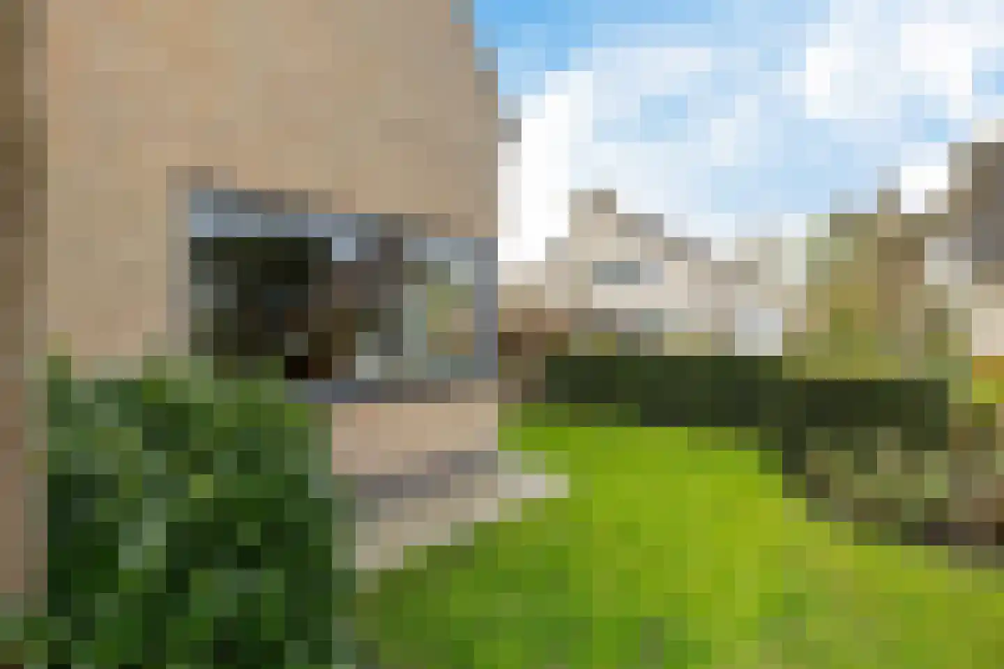 De Blei 2 Grou thumbnail 43