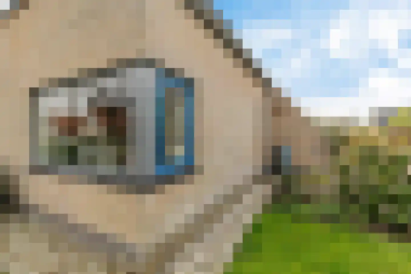 De Blei 2 Grou thumbnail 44