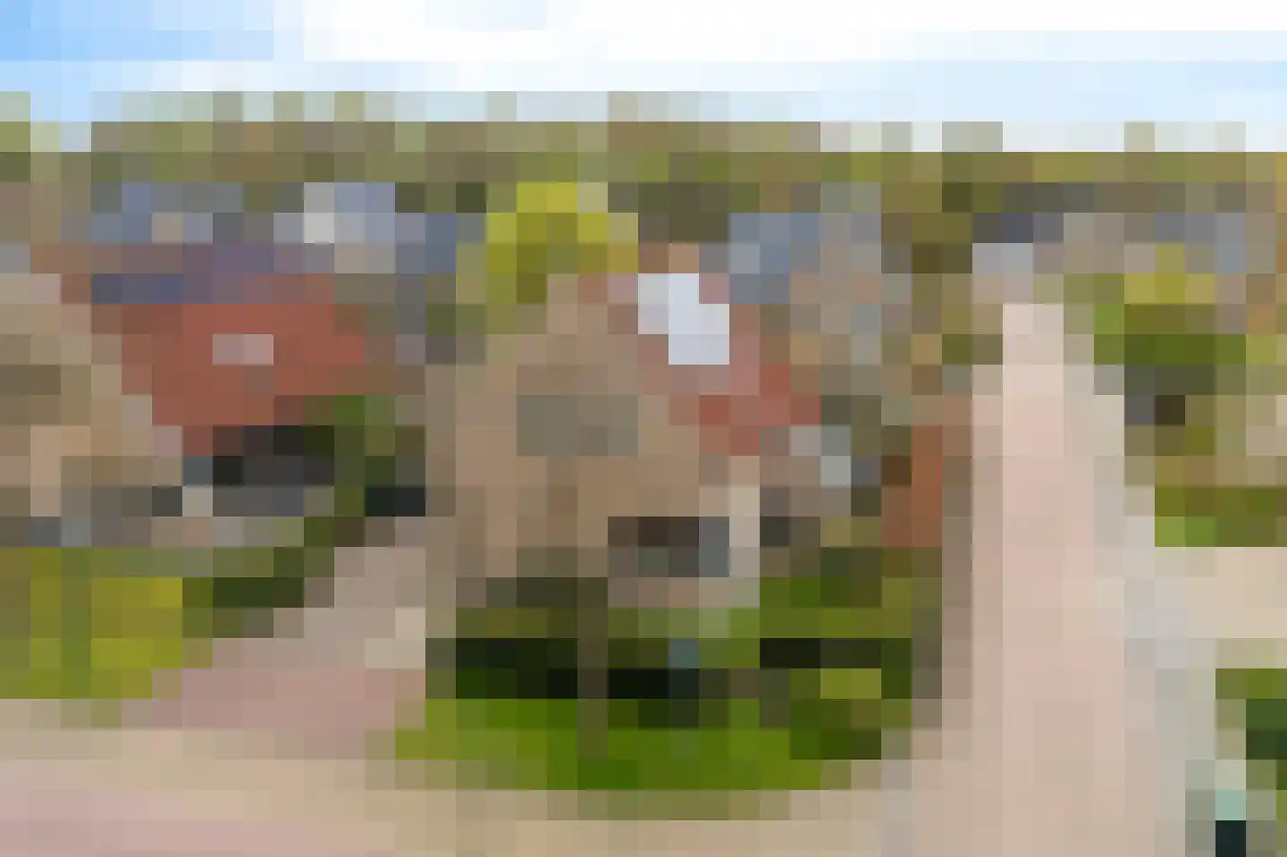 De Blei 2 Grou thumbnail 46