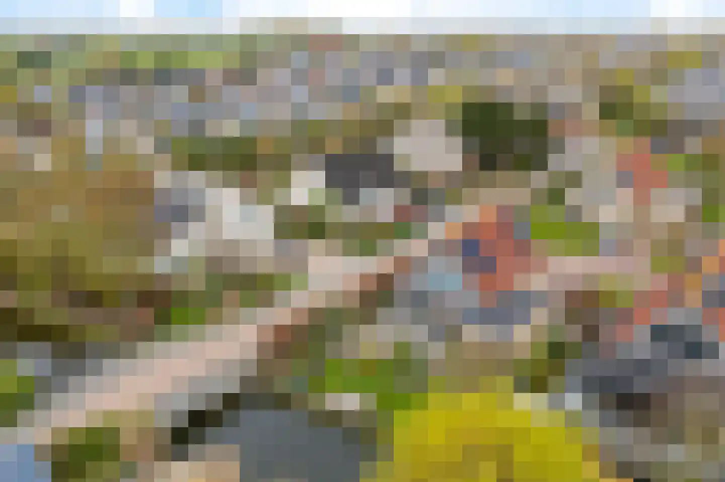 De Blei 2 Grou thumbnail 48