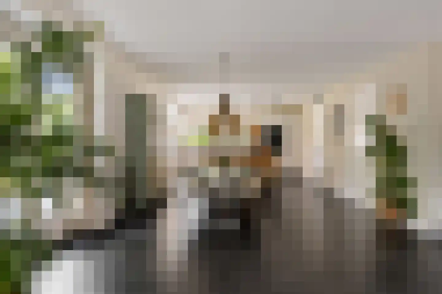 De Blei 4 Grou thumbnail 12