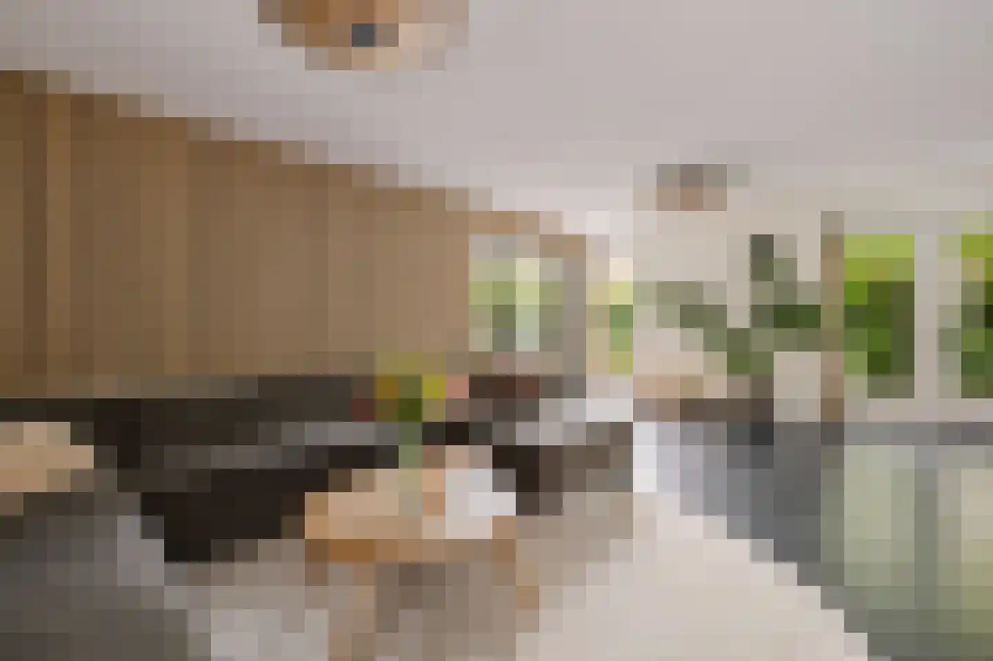 De Blei 4 Grou thumbnail 16