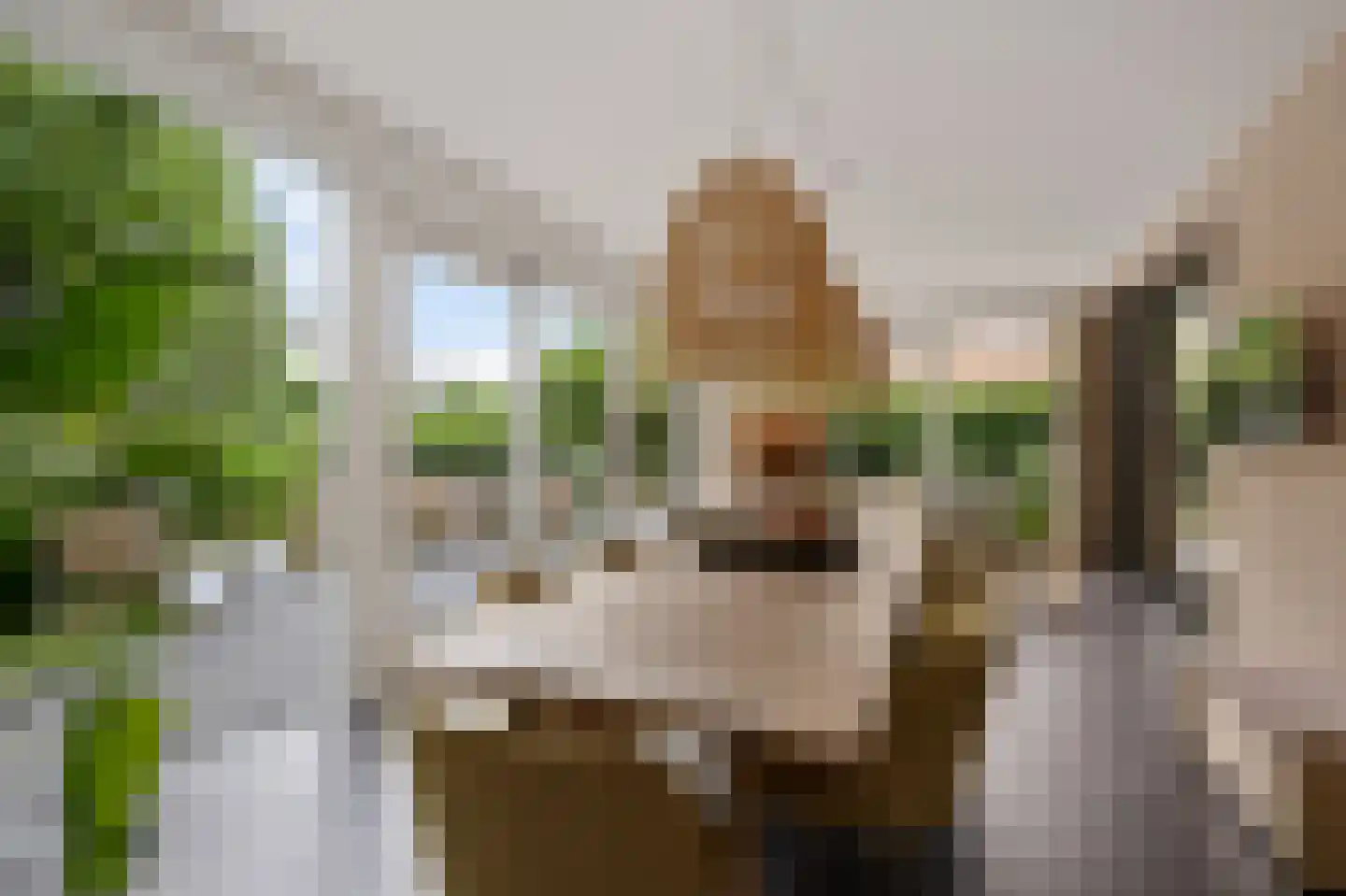 De Blei 4 Grou thumbnail 18